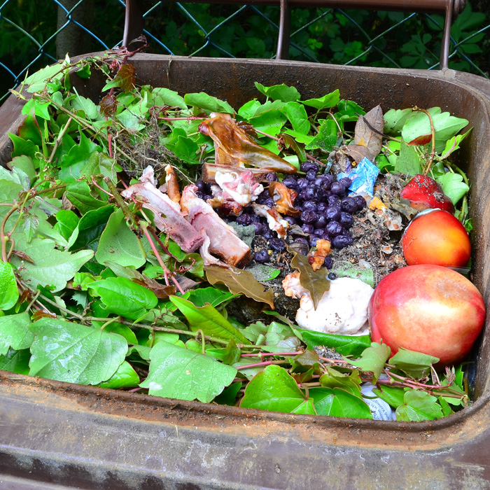 ews food recycling